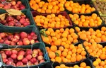 توزیع میوه شب عید ۲۵ درصد زیر قیمت بازار