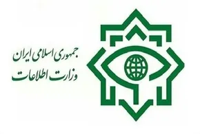 فیلم| بازداشت چهار شرور خیابان اندرزگو