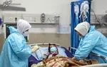 شناسایی ۸۱ بیمار جدید کووید۱۹