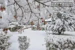 هشدار هواشناسی برای تهران| احتمال رگبار در نیمه شمالی و وزش باد شدید