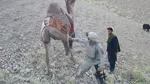 جزئیات بازداشت سرباز ایرانی از سوی طالبان