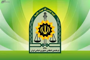 فیلم/ صحنه آهسته شلیک به آجر و گوشت
