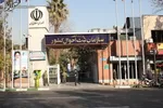 چه تعداد از دهه شصتی‌ها مجردند؟ / افزایش تجرد قطعی زنان