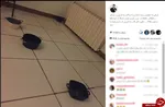واکنش طنز قاسم‌خانی به اظهارات سیف