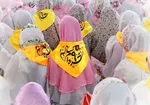 رهبر انقلاب: مساله غزه امروز رأس مسائل دنیای اسلام است/ همه باید احساس مسئولیت کنیم