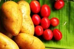 قیمت رب گوجه‌فرنگی در محدوده ۱۸ تا ۲۰ هزار تومان!