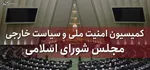 ارجاع لایحه ساماندهی پهپادهای غیرنظامی به کمیسیون امنیت ملی