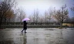 نشت نفت در مزارع جنوب پایتخت