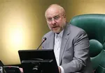 نگران تامین کالاهای اساسی نیستیم/لزوم توجه به خطوط قرمز درمذاکرات