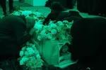عکس/ وداع دختر ۲ساله شهید بهروز واحدی با پدرش