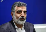 گروسی: به احیای برجام امیدواریم