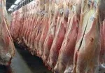بازار سیمان در قبضه ۳۰ نفر/ سازندگان مسکن ملی یک‌لگنه‌پا معطل ارزانی سیمان