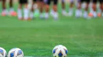 کدام مربی سکان‌دار پرسپولیس می‌شود؟