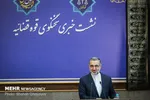 کشور‌های مدعی مبارزه با فساد پناهگاه متهمان فراری هستند