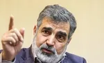 خطیب‌زاده اعلام کرد: اعتراض ایران به آلمان/تمرکز ایران بر جدی بودن مذاکرات وین