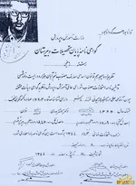 عکس / تصادف دردناک پرنده گان