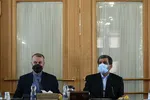 باهنر: باید از همه جریان‌های درون نظام در انتخابات استفاده کنیم