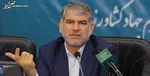 توزیع روزانه مرغ گرم به ۵ هزار و ۸۰۰ تن رسید