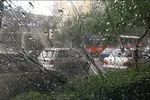 مدارس برخی شهر‌های خوزستان تعطیل شد