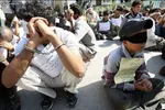 در جلسه دادگاه شرکت‌های متخلف واردکننده خودرو چه گذشت؟
