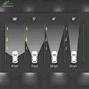 عکس/حرکت عجیب مارمولک مقابل دوربین!
