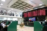 افزایش قیمت مرغ در بازار هم‌ سطح با نرخ دلار