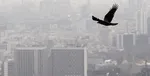 ۸۰۱۱ ابتلا و ۳۶۵ فوتی جدید کرونا در کشور