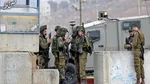 ما شاه ایرانیم؛ تحویل‌مان بگیرید!
