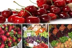 قیمت اقلام اساسی در ۱۷ تیر/ نرخ هر کیلو برنج هاشمی چند؟