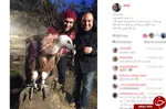آرش میراحمدی درگذشت