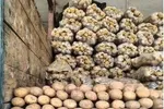 افزایش ۱۰۰ درصدی قیمت پیاز و گوجه در بازار