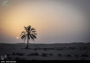 تصاویر/ اعزام ۳ فضانورد به فضا‎