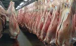 کاهش تولید انواع گوشت قرمز