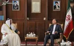 بن‌سلمان چگونه کودتا کرد؟