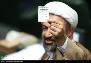 عکس/ رسایی در تجمع هسته‌ای در مجلس