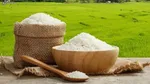 واردات یکصد هزارتن سیب زمینی و توزیع ۲۰۰ هزار تن برنج خارجی