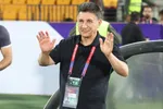 قلعه‌نویی: برنامه‌ریزی کافا خوب نبود