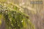 هشدار سیل هلال‌احمر برای ۳ استان شمالی