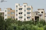 شنبه، آخرین مهلت ثبت کارتخوان‌ها در سازمان امور مالیاتی