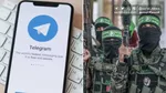 تلگرام ضربه آخر را به واتساپ می‌زند