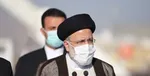 فساد چندصدمیلیون‌دلاری دولت روحانی در واردات و تولید نهاده دام