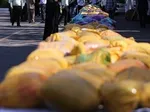 پیشگیری از جرم همکاری دولت را می‌طلبد/ برخورد با مردی که از تعهدات خود در قبال همسرش سرپیچی می‌کند