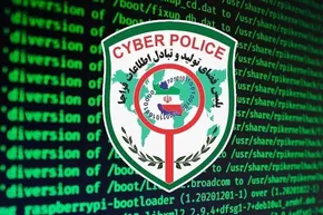 فیلم/ زائر افغانستانی در مورد اربعین حسینی می‌گوید