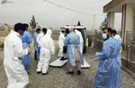 این‌جا آمریکاست؛ هر ۹۸ ثانیه به یک زن تجاوز می‌شود