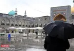 امام رضا (ع) واقعا با انگور به شهادت رسید؟
